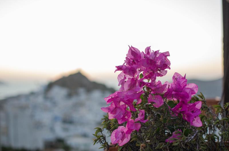 Skala Sunset And Ξενοδοχείο 3*